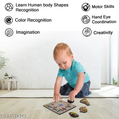 3D Human Body Parts Wooden Toys for Kids 3+