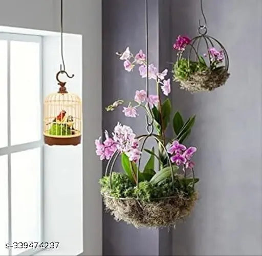 Realistic Singing & Chirping Bird Toy, Battery Operated Bird in Cage with Sensory Touch