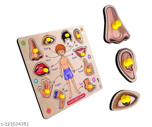 3D Human Body Parts Wooden Toys for Kids 3+