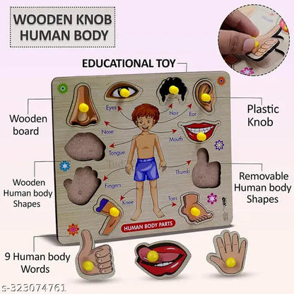 3D Human Body Parts Wooden Toys for Kids 3+