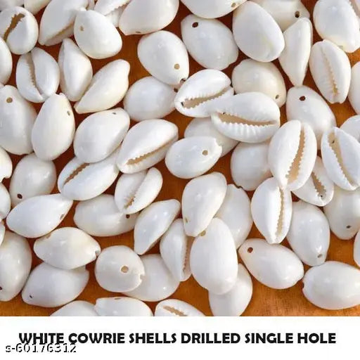 Natural Sea Shell White Original - 100 pcs Pack