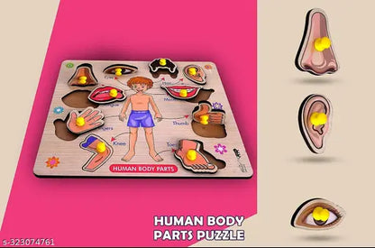 3D Human Body Parts Wooden Toys for Kids 3+